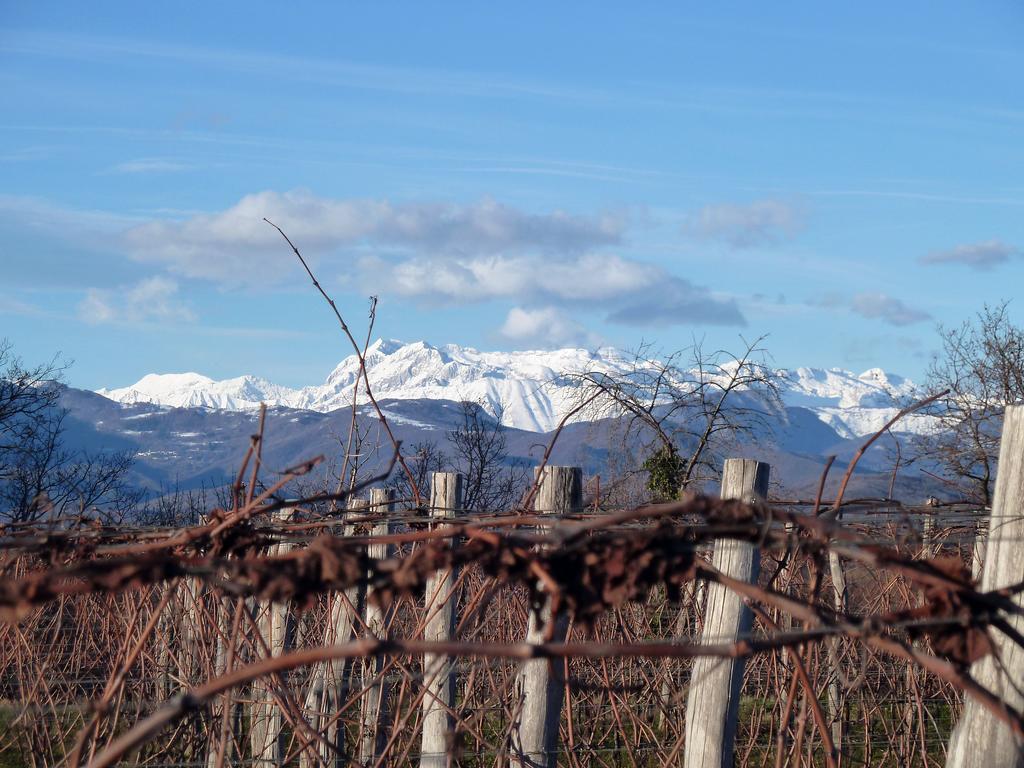 Tenuta Perusini Corno di Rosazzo 外观 照片
